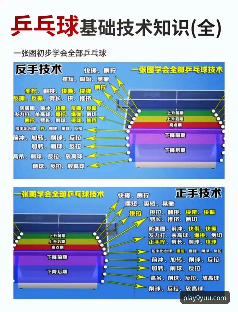 观赛必备知识：从中国男乒世乒赛表现看竞技状态调整技巧